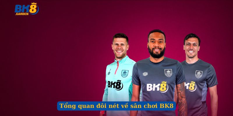 Tổng quan đôi nét về sân chơi BK8