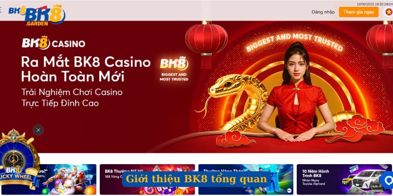 Giới thiệu BK8 tổng quan