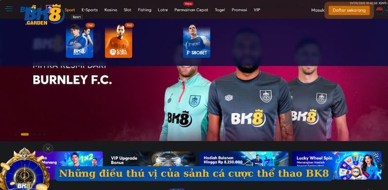 Những điều thú vị của sảnh cá cược thể thao BK8